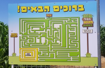 מבוך התירס